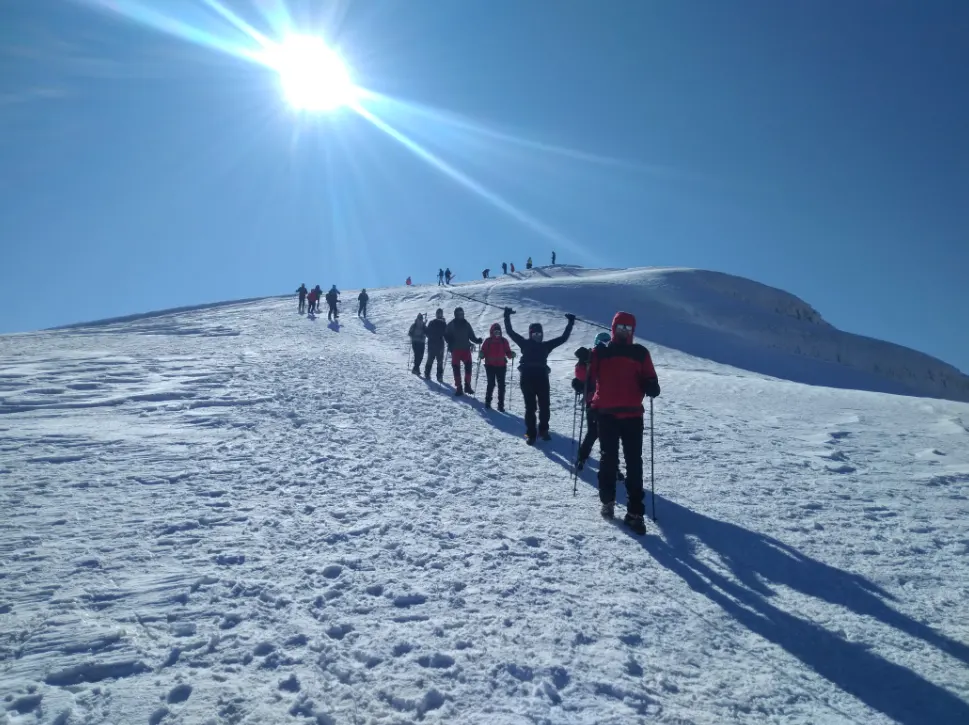 Standard Post with Image